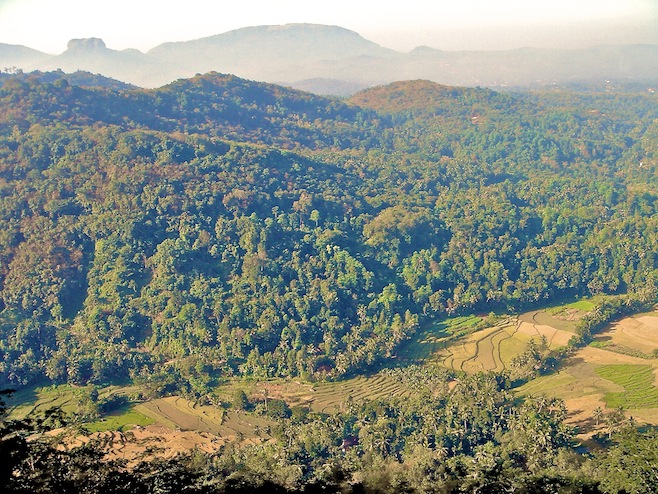 Sri Lanka Countryside